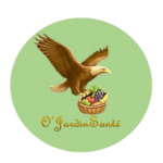 logo ojardi sante removebg preview
