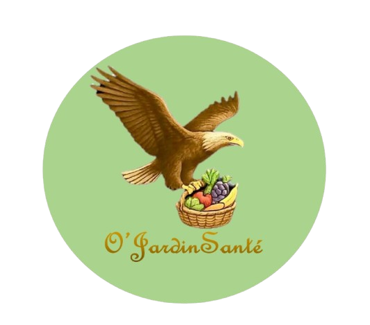 logo ojardi sante removebg preview